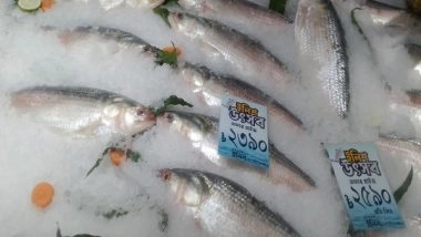 World News | Bangladesh Approves Hilsa Fish Export to India for Durga Puja