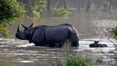 India News | World Rhino Day: Wildlife Expert Bibhab Kumar Talukdar Praises PM Modi for 'visionary Initiatives' for Conservation of Greater One-horned Rhino