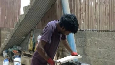 India News | Crisis Looms over Kashmir's Cricket Bat Industry as Willow Trees Face Extinction