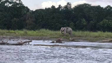 India News | Manas National Park & Tiger Reserve to Reopen for Public from September 27:Forest Director
