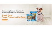 Business News | Petrix: The Ultimate Choice for Nutritious and Delicious Dog Treats Food and Chews
