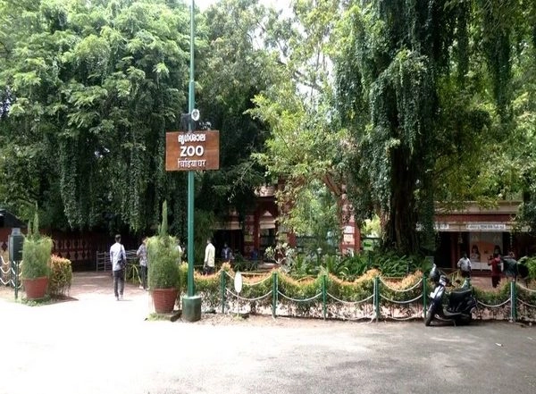 India News | Three Female Hanuman Langurs Escape from Kerala's Thiruvananthapuram Zoo