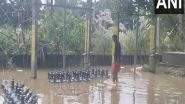 India News | UP: Floodwater Recedes in Kushinagar, Health Department Teams Begin Relief Work
