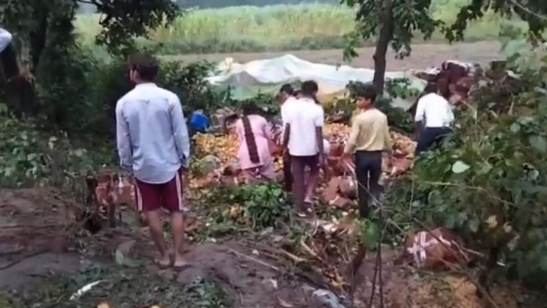 Hapur: Mob Loots Apples After Truck Carrying Fruit From Kashmir Overturns in Uttar Pradesh, Video Surfaces