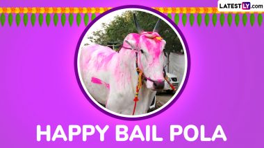 Bail Pola 2024 Images and HD Wallpapers for Free Download Online: Wish Happy Pola Festival With WhatsApp Photos and Greetings To Celebrate the Festival in Maharashtra and Chhattisgarh