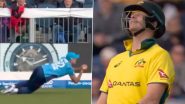 Brydon Carse Grabs Sensational Diving Catch Near Boundary Line to Dismiss Steve Smith During ENG vs AUS 3rd ODI 2024 (Watch Video)