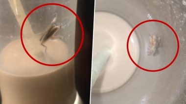 ‘Cockroach Coffee’ in Malad: Customer Finds Cockroach in Cold Coffee Served at Hope and Shine Lounge in Mumbai, Files Complaint Against Eatery (See Pics)