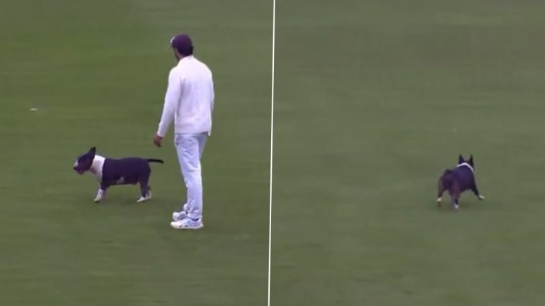 Dog Stops Play in Durham vs Kent County Championship 2024 Division One Match, Video Goes Viral