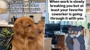 Funny Instagram Reels for Work Besties and Colleagues: Send Hilarious Memes and Jokes to Share a Laugh