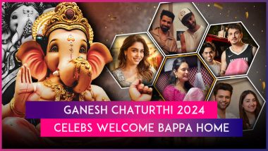 Ganesh Chaturthi 2024: TV Celebs Yuvika Chaudhary, Prince Narula, Karan Wahi & Rithvikk Dhanjani Welcome Bappa Home