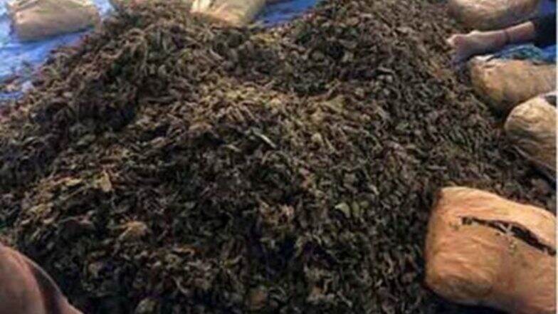 Hydroponic Ganja Valued at INR 23.5 Crore Seized at Chennai Airport, 3 Held