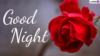 Good Night and Sweet Dreams Images and WhatsApp Messages: Send Romantic Goodnight Quotes, Cute GIFs, Greetings and Sayings To Wish Your Bae