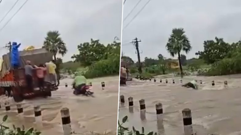 Andhra Pradesh Rains: Man Washed Away Along With Bike While Crossing Stream in Krishna District, Video Surfaces