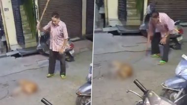 Animal Cruelty in Moradabad: Man Mercilessly Beats Stray Dog to Death With Stick in UP, FIR Registered After Disturbing Video Surfaces