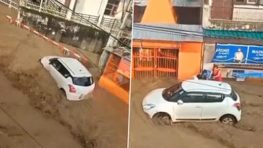 Haldwani Rains: Girl Rescued After Car Nearly Swept Away by Floodwaters in Uttarakhand, Video Surfaces