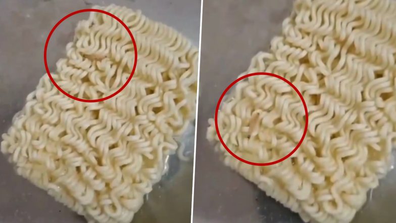 Maggot in Maggi: Youth Finds Bugs Crawling Inside Maggi Noodles in Jabalpur, Video Surfaces