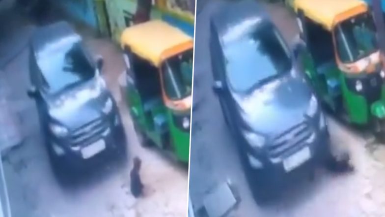 Accident Caught on Camera in Kanpur: 3-Year-Old Crushed to Death by Car While Playing Outside Her House in UP; Disturbing Video Surfaces