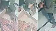 Theft Caught on Camera in Chhapra: Thief Steals Cobra Idol from Shivling at Baba Batukeshwar Nath Temple in Bihar, CCTV Footage Goes Viral