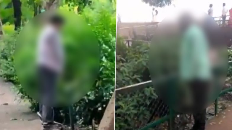 Agra: 2 Men Urinate Inside Taj Mahal Garden in Full Public View, Authorities Launch Probe After Video Goes Viral