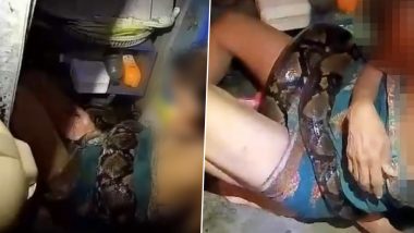 Snake Attack in Thailand: Woman Rescued by Police After Being Strangled by Python For 2 Hours in Bangkok; Video Surfaces