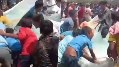 ‘Fish Party in The Name of Nitish Kumar’: Bihar CM Puts Fish in Tank in Saharsa, Crowd Loots Them Soon After He Leaves; Viral Video Surfaces