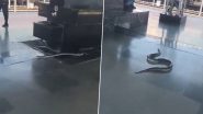 Uttarakhand: 6-Foot-Long Snake Enters Rishikesh Railway Station Platform, Causes Panic Among Passengers; Viral Video Surfaces