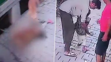 Dog Attack in Bharatpur: 5-Year-Old Girl Injured After Pack Of Stray Dogs Attack Her in Rajasthan; Disturbing Video Surfaces