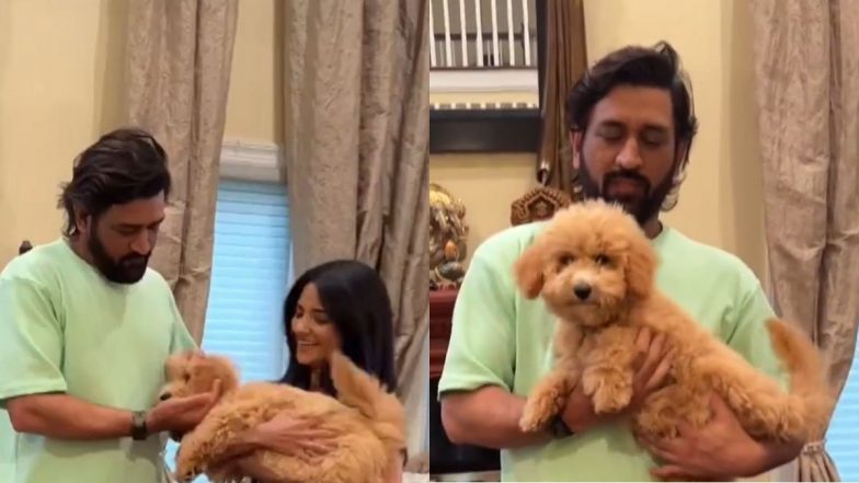 MS Dhoni Shares Cute Moment With Dog ‘Griffin’, Video Goes Viral