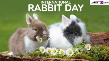 International Rabbit Day 2024 Date and Significance: Celebrate the Day Dedicated to Rabbits To Raise Awareness About Their Protection