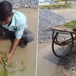 Kanpur: Vegetable Vendor Allegedly Washes Vegetables in Dirty Water Accumulated on Road in Uttar Pradesh, Viral Video Surfaces