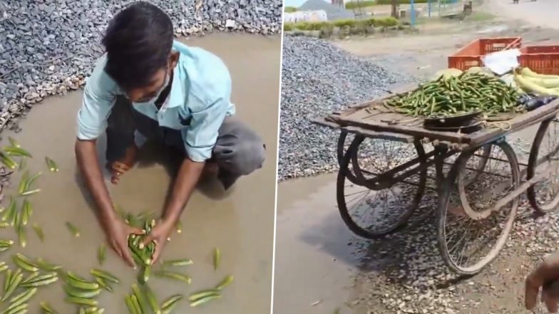 Kanpur: Vegetable Vendor Allegedly Washes Vegetables in Dirty Water Accumulated on Road in Uttar Pradesh, Viral Video Surfaces