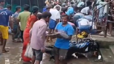 Mahabubabad: Locals Loot Fishes Scattered on Road After Fish-Laden Truck Overturns Near Maripeda in Telangana, Videos Go Viral