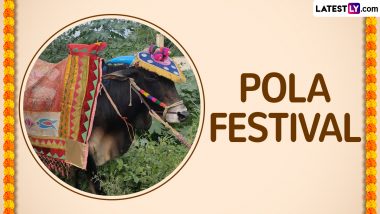 Bail Pola 2024 Date and Significance in Maharashtra and Chhattisgarh: Celebrating the Festival Dedicated to Honouring the Vital Role of Bulls and Oxen in Indian Agriculture