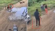 Pune: 6 Stray Dogs Allegedly Attack and Drag Child Playing Outside His House in Chakan, Terrifying Video Surfaces