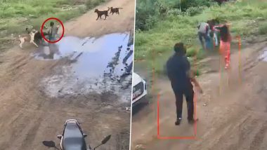 Pune: 6 Stray Dogs Allegedly Attack and Drag Child Playing Outside His House in Chakan, Terrifying Video Surfaces