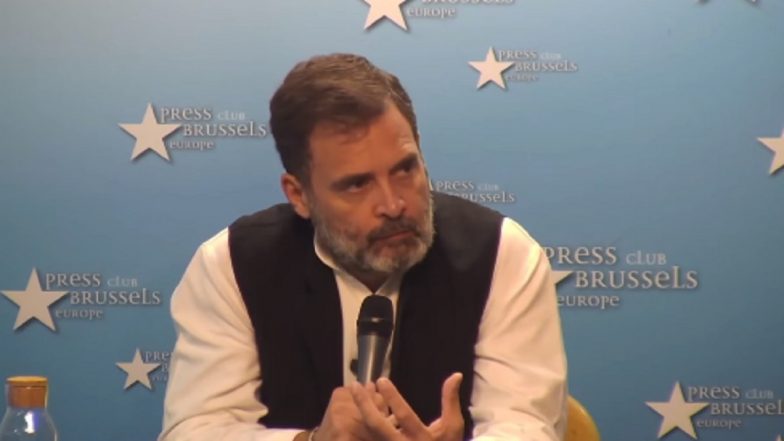 BJP Spreading Lies, Desperate to Silence Me: Rahul