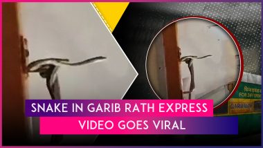 Snake in Train: Venomous Serpent Seen Spiralled Inside Garib Rath Express AC Coach of Jabalpur-Mumbai Train, Video Goes Viral