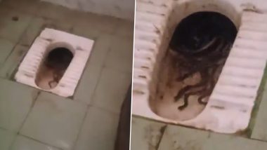 Snake Infestation in Tamil Nadu College: Viral Video Shows Snakes Breeding Inside Women’s Toilet Commode at Arignar Anna College in Thiruvannamalai, GV Prakash Kumar Reacts