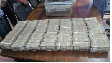 Mohali: Drug Inspector Held for Drug Smuggling by Anti-Narcotics Task Force of Punjab Police, INR 1.49 Crore Cash Recovered