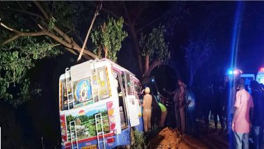 Tamil Nadu Accident: 6 Killed, 16 Injured in Road Accident After Tourist Van Hit a Tree in Ulundurpet