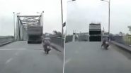 Typhoon Yagi in Vietnam: Viral Video Shows Truck Plunging Into River After Steel Bridge Collapses in Phu Tho Province Following Heavy Rainfall, Terrifying Clip Surfaces