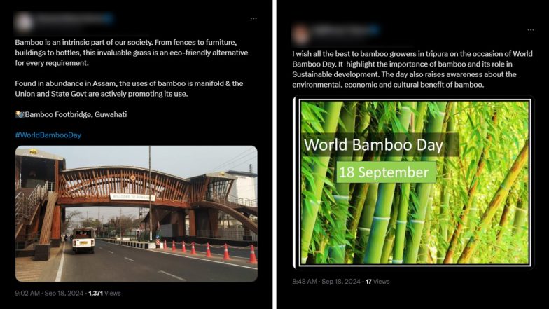 World Bamboo Day 2024 Messages: Netizens Share Videos, Images, Quotes, Sayings and Wallpapers to Raise Awareness About Bamboo and Its Sustainable Use