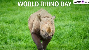 World Rhino Day 2024 Slogans and HD Images for Download Online: Share Quotes, Wallpapers, Rhino GIFs, Messages and Photos To Raise Awareness on Conservation of Rhinoceros