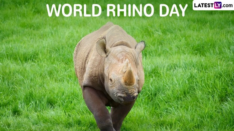 World Rhino Day 2024 Slogans and HD Images for Download Online: Share Quotes, Wallpapers, Rhino GIFs, Messages and Photos To Raise Awareness on Conservation of Rhinoceros