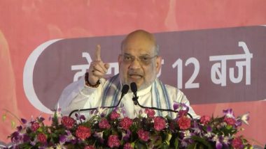 Haryana Assembly Elections 2024: ‘BJP’s Responsibility To Ensure Jobs for Agniveers’, Amit Shah Says in Rewari (Watch Video)