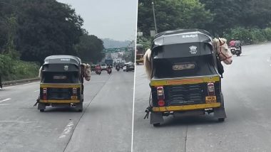 Animal Cruelty Caught on Camera in Navi Mumbai: Horse Found Cramped Inside Speeding Auto-Rickshaw on Sion-Panvel Highway, Probe Launched After Video Goes Viral