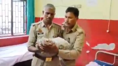 Hamirpur: Newborn Abandoned in Bushes Rescued by Police and Rushed to Hospital (Watch Video)  0