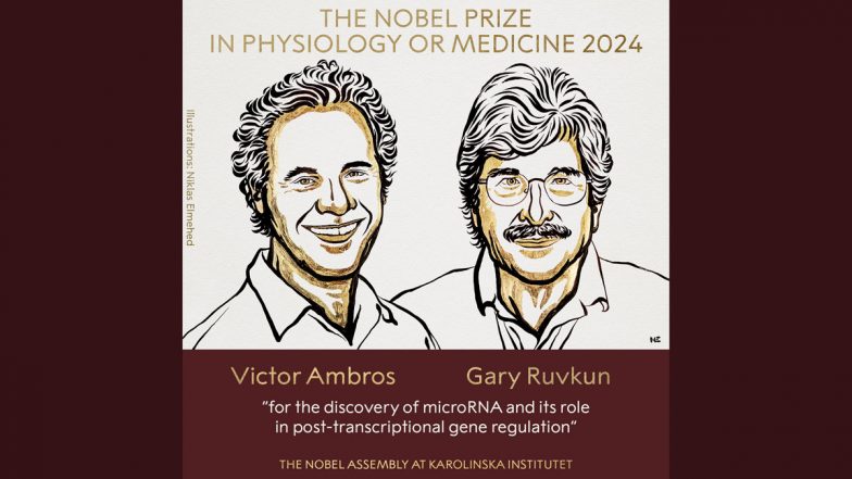 Nobel Prize in Medicine 2024: Victor Ambros, Gary Ruvkun Awarded Nobel Prize in Physiology for Discovery of microRNA and Its Role in Post-Transcriptional Gene Regulation