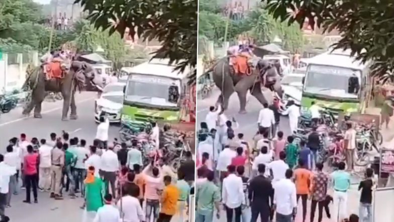 Chhapra: Elephant Flips Car During Dussehra Procession; Occupant Escapes Injury, Viral Video Surfaces