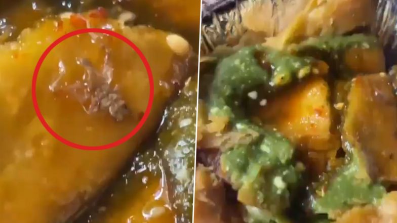 Ghaziabad: Customer Allegedly Finds Dead Spider in Samosa of Dhara Dairy in Raj Nagar Extension, Video Goes Viral